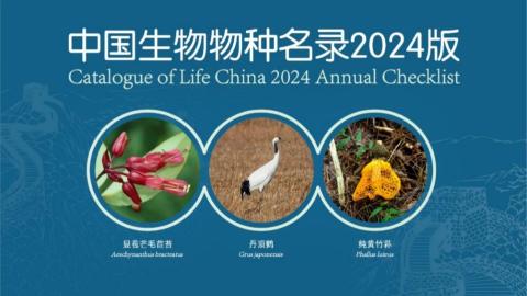 收录超15万个 《中国生物物种名录2024版》发布