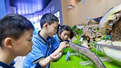 我国正在编制《生物多样性保护重大工程实施方案》