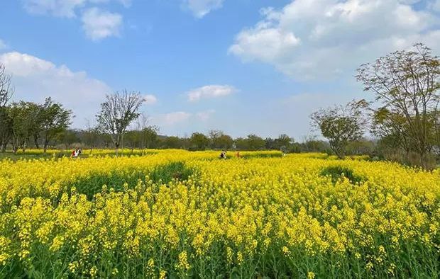 以高水平保护支撑高质量发展