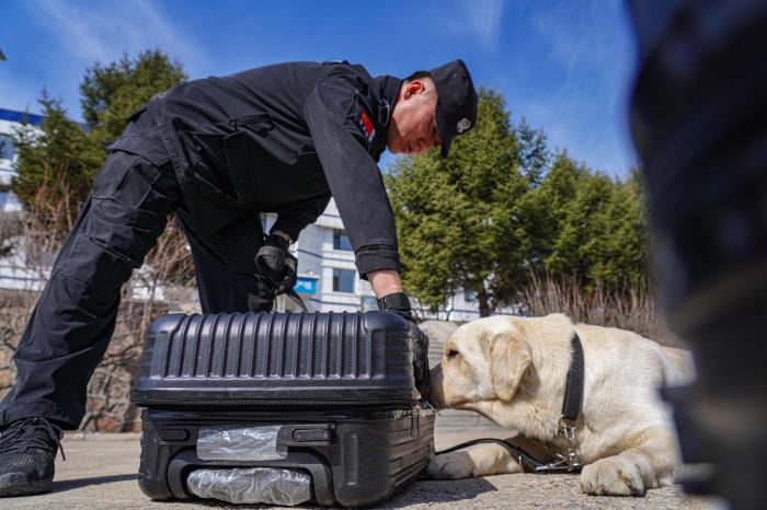 一人一犬的三载时光：战友间满满的难忘记忆