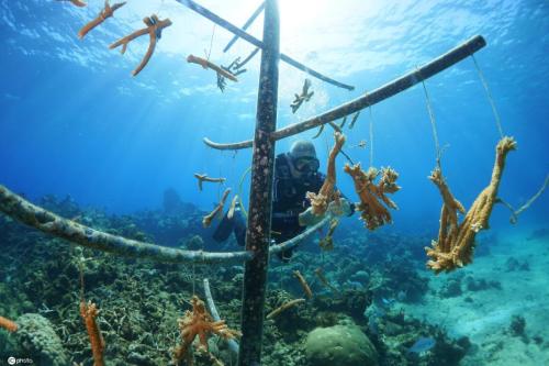 海南修订安全生产条例：经营潜水等旅游项目需备案