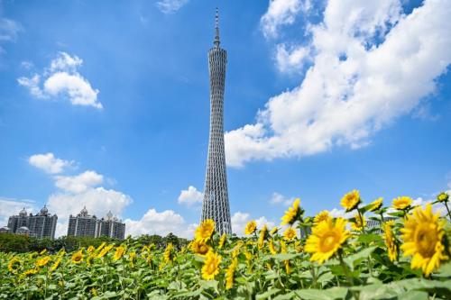 国庆假期广州将举办41场超千人的大型活动