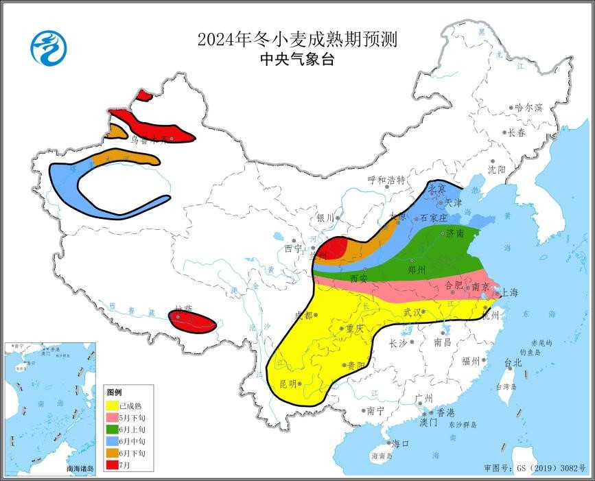 2024年冬小麦成熟期预测