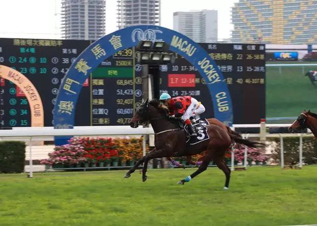 澳门4月起停办赛马活动澳门赛马会