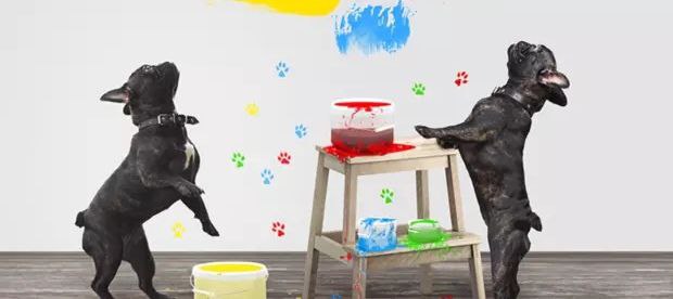迪拜将举办一场狗狗绘画派对