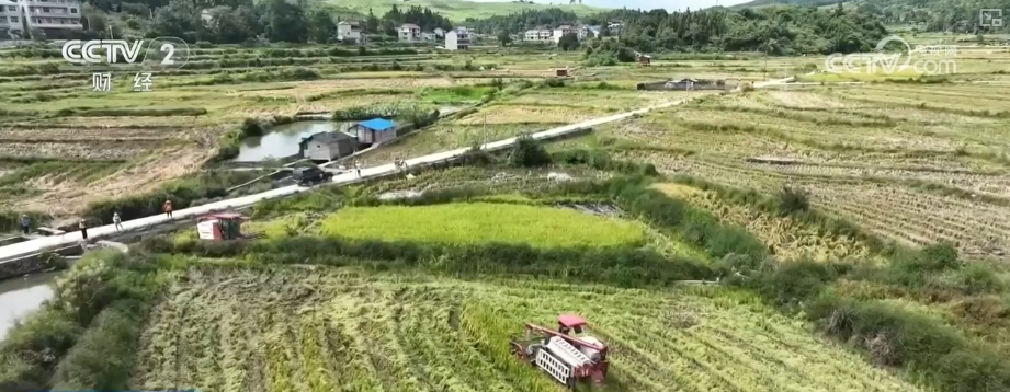 稻香果甜“丰”景美 各地喜迎“甜蜜”收获